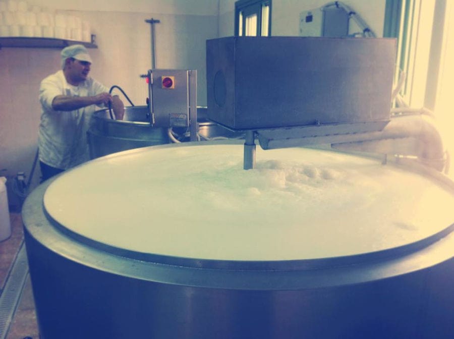 man working the dairy mixing machine at 'Vasilas Dairy' plant